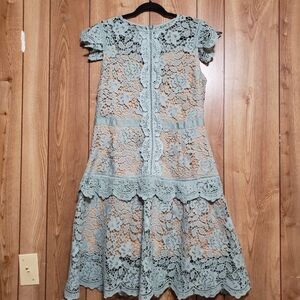 Pale Green Crochet Style Lace Dress Ainier L Fully Lined Midi Length Boho